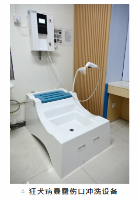 1741505417401 1741505417401