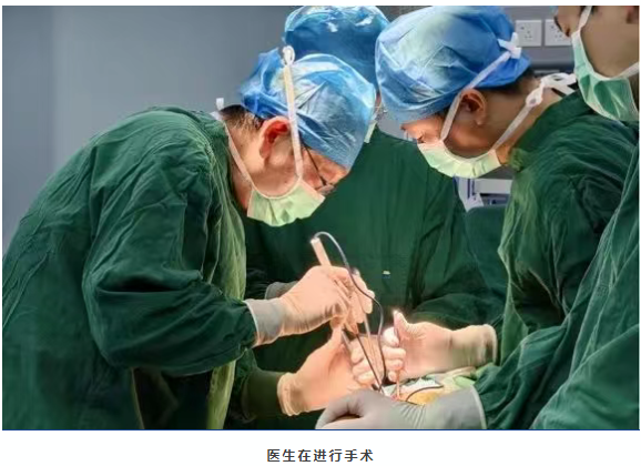 4dd5220c-5ad7-47d3-9181-be36d3053b2a