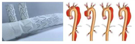 ff263af4-4642-47f6-bd70-89c0c9a72ddc